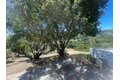 Additional image 69 of 22505 Rolling Hills Rd, Saratoga, CA, 95070