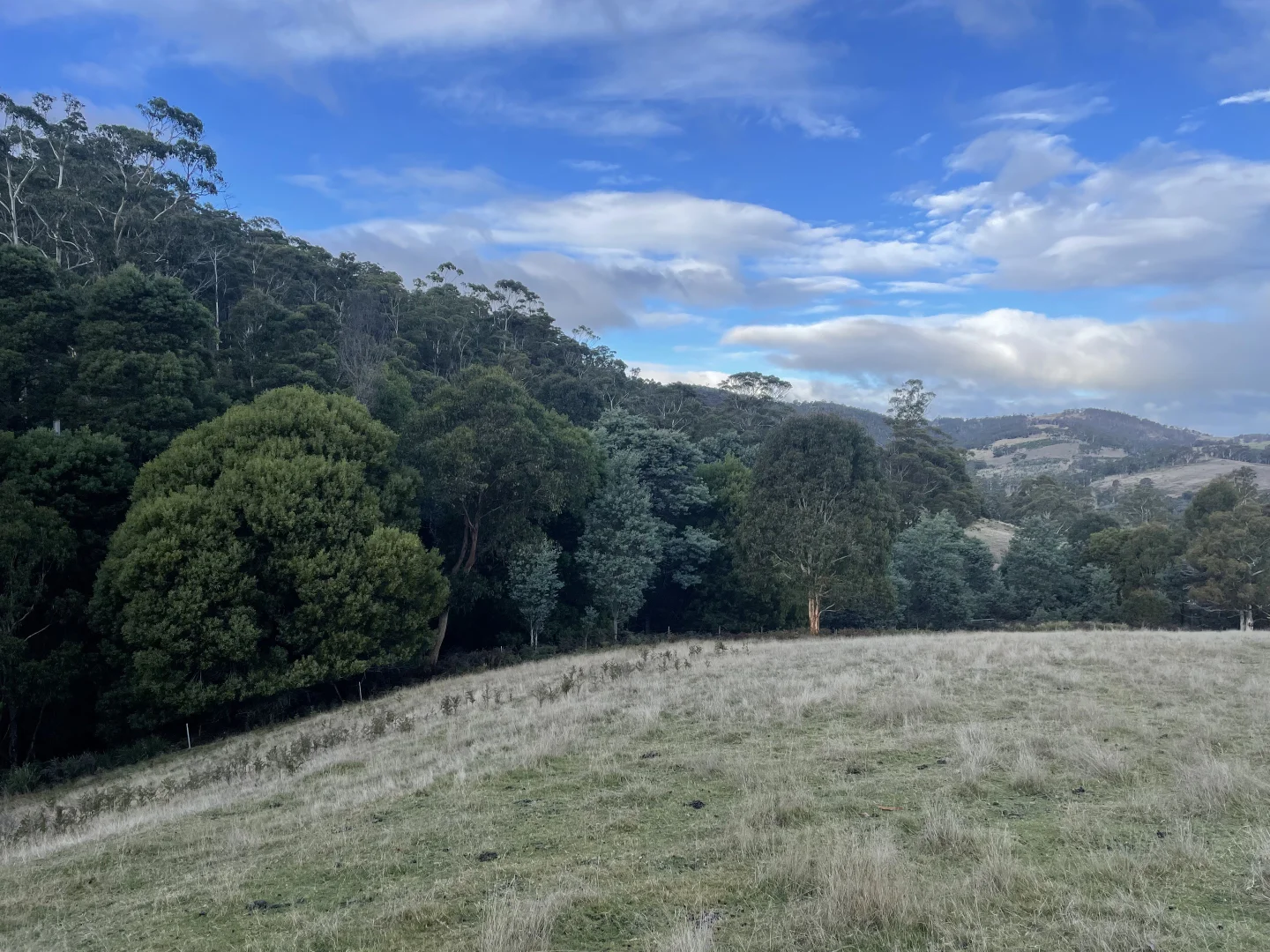 Additional image 17 of 1206 Ellendale Rd, Ellendale TAS 7140