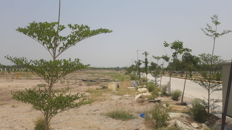 Patancheru, Hyderabad photo 2