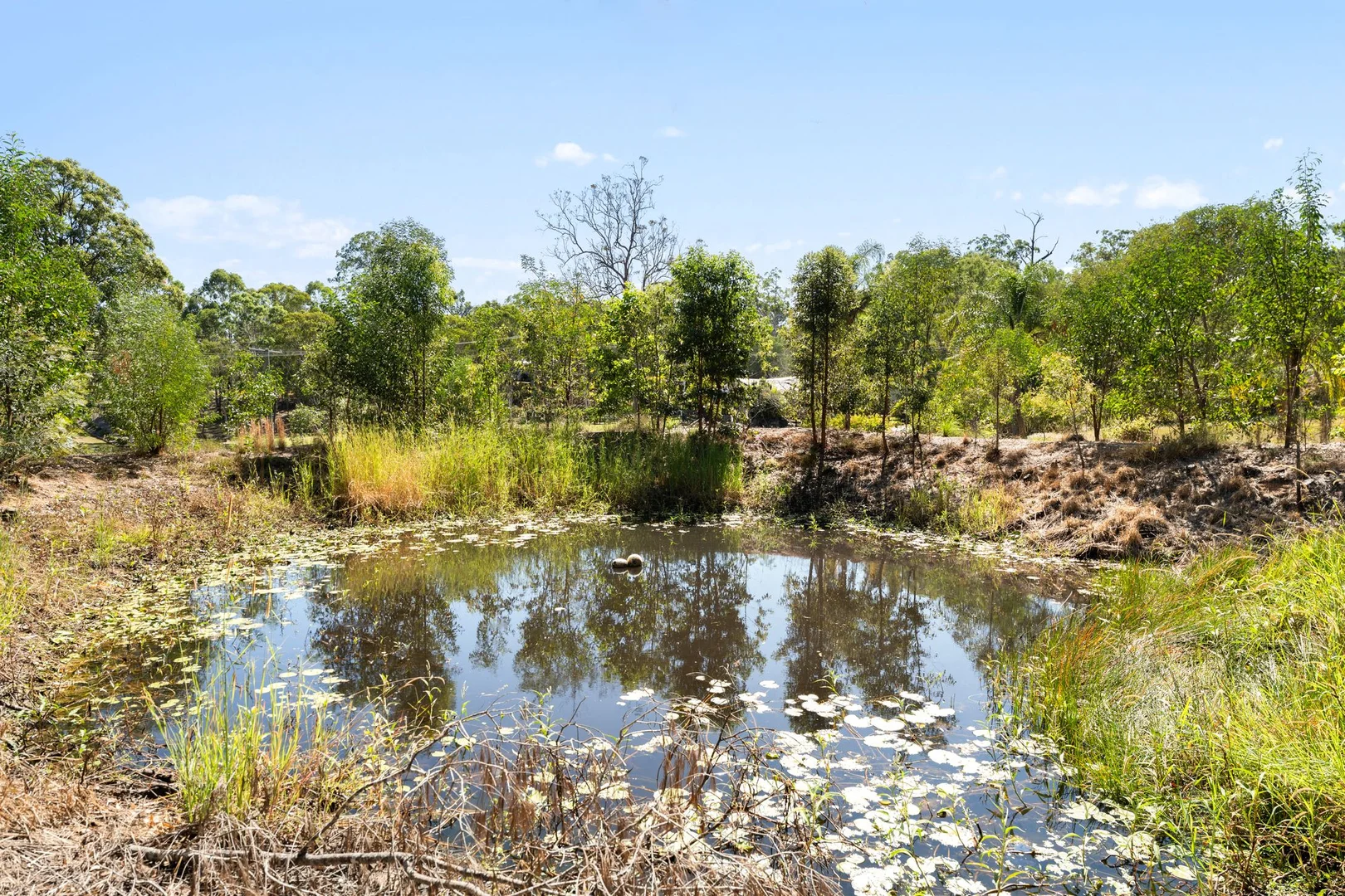 Additional image 25 of 61-67 Sheree Court, Buccan QLD 4207