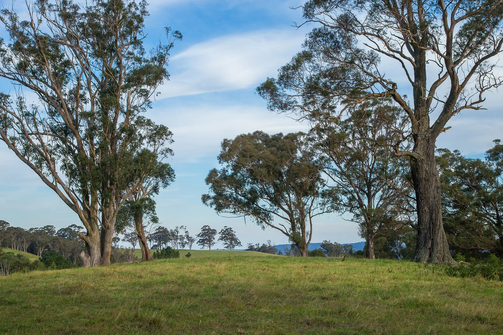 Additional image 14 of 1107 Old Hume Highway, Alpine NSW 2575