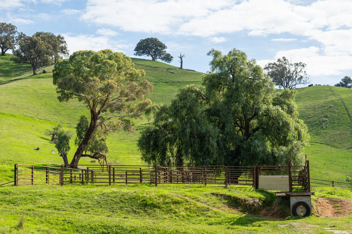 Additional image 16 of Sandy Creek Road, Sandy Creek VIC 3695