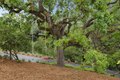 Additional image 51 of 120 Deer Meadow Ln, Portola Valley, CA, 94028