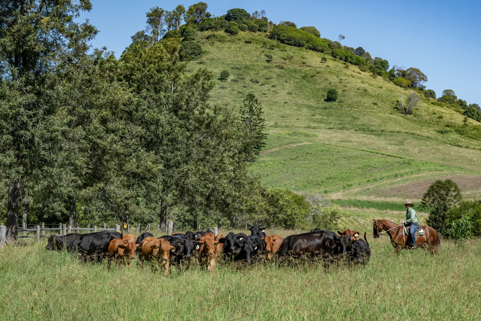 Additional image 8 of 55 Jerry Creek Road, Langshaw QLD 4570