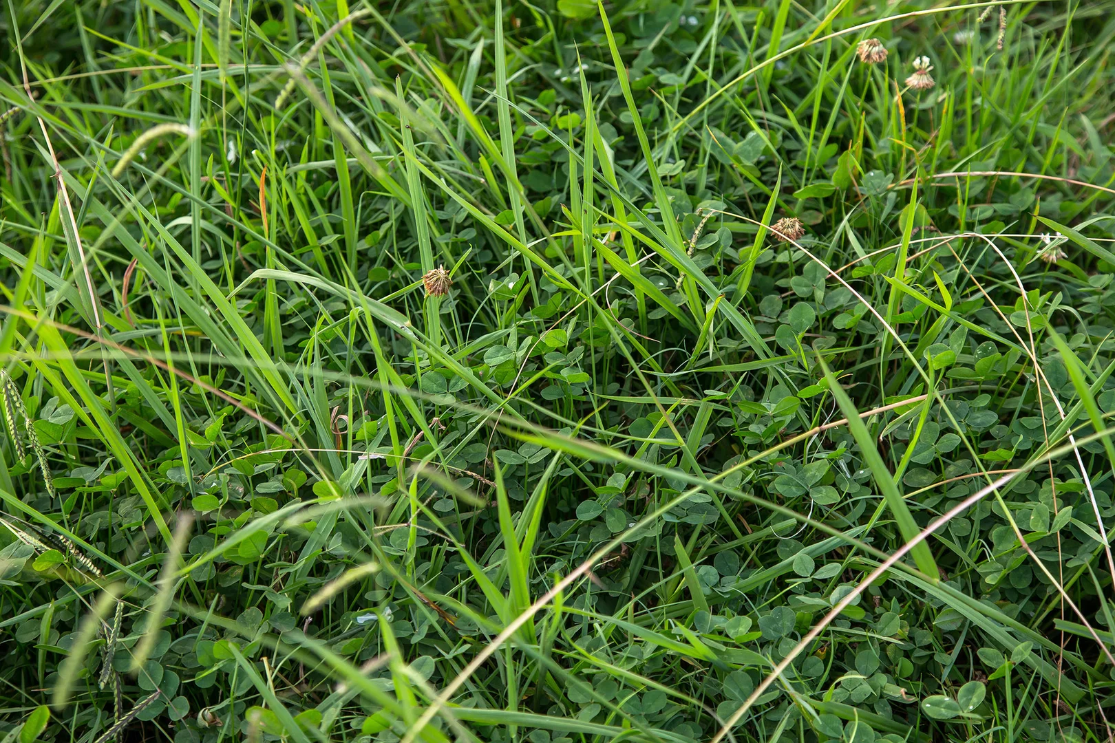 Additional image 13 of 1107 Old Hume Highway, Alpine NSW 2575