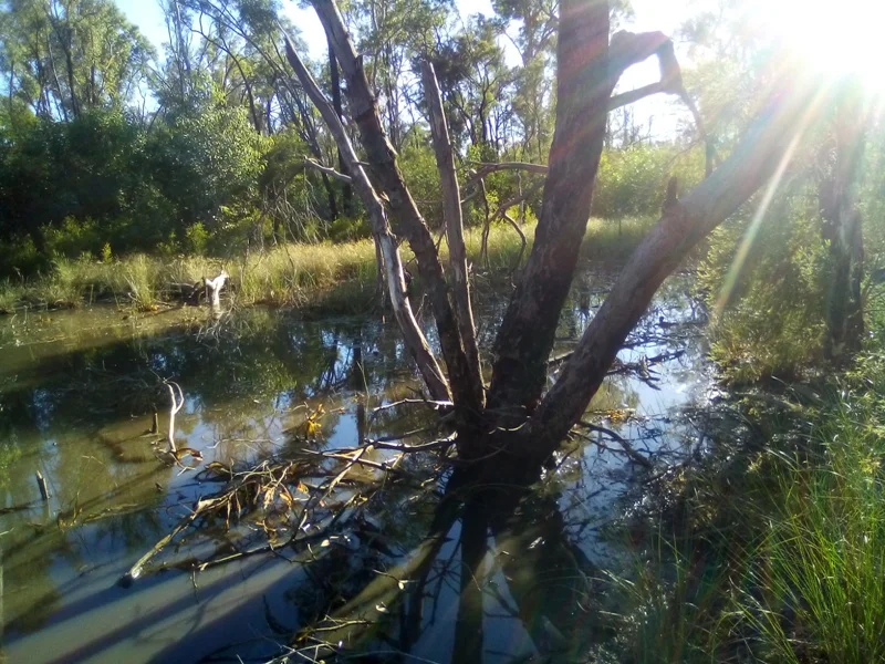 Additional image 7 of Lot 71 Males Drive, Tara QLD 4421