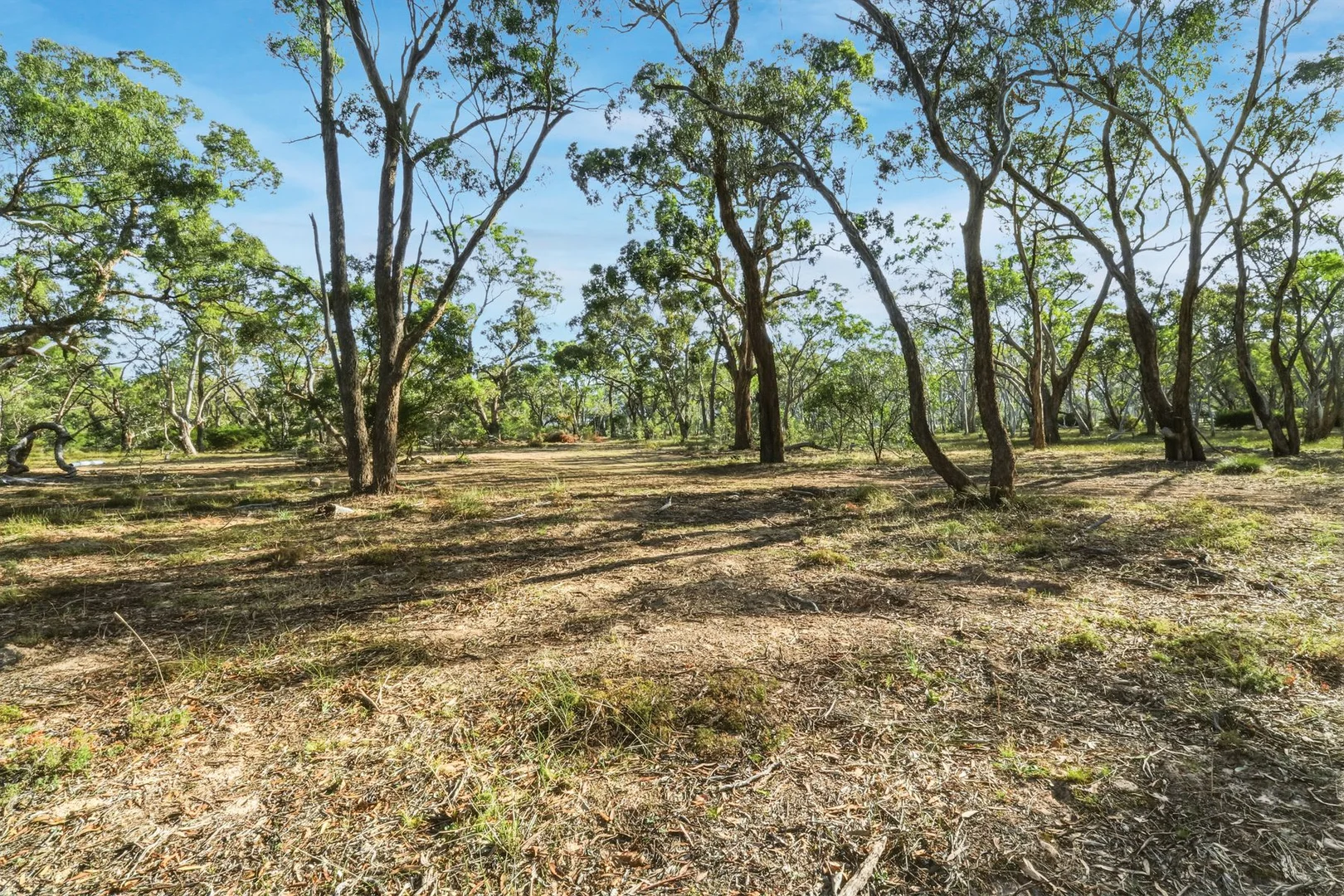 Additional image 17 of 113 Blythewood Road, Fyans Creek VIC 3381