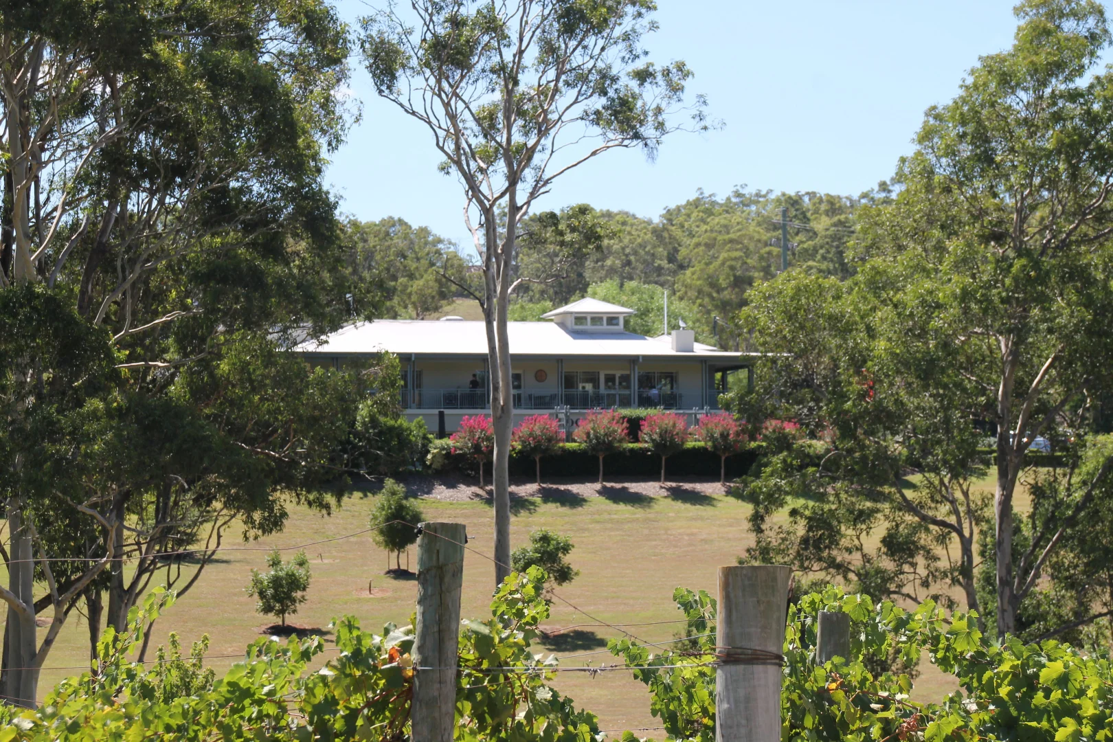 Additional image 5 of 638 De Beyers Road, Pokolbin NSW 2320