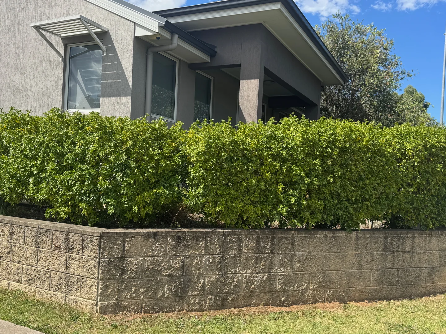Additional image 20 of 41A Ducros St, Oran Park NSW 2570