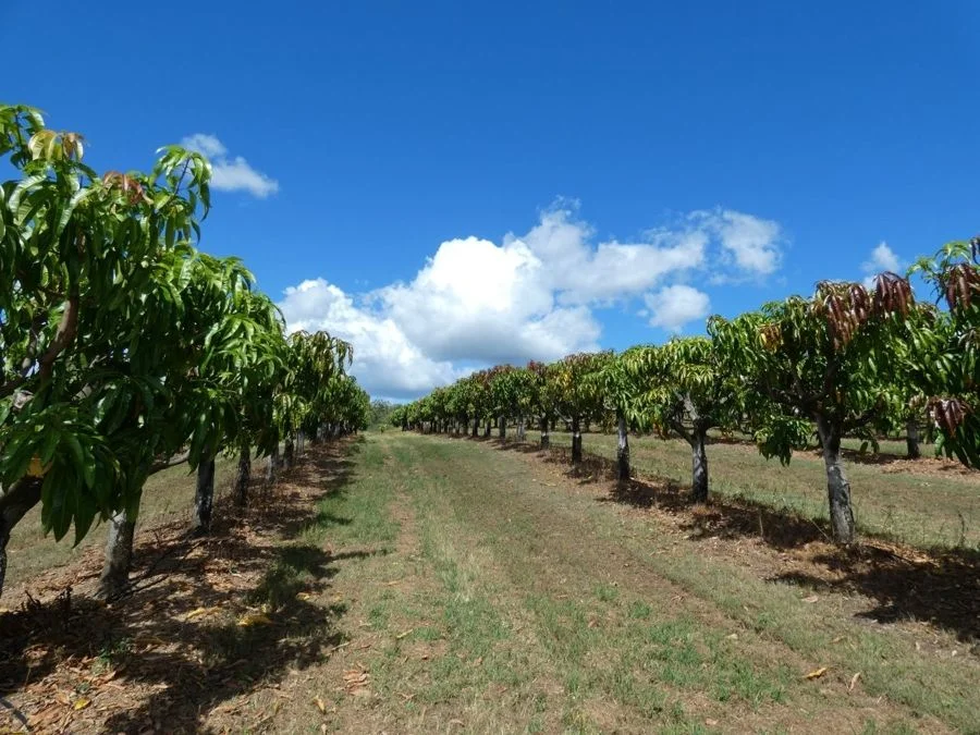 Additional image 34 of 86 Simpsons Road, Bullyard QLD 4671