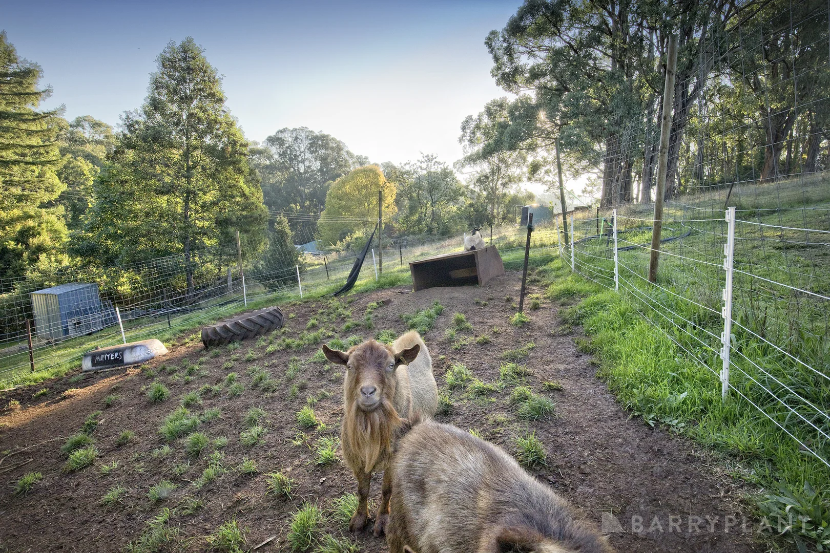 Additional image 22 of 73 Emerald Creek Road, Monbulk VIC 3793