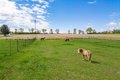 Additional image 48 of 10160 Cemetery Rd, Pecatonica, IL, 61063