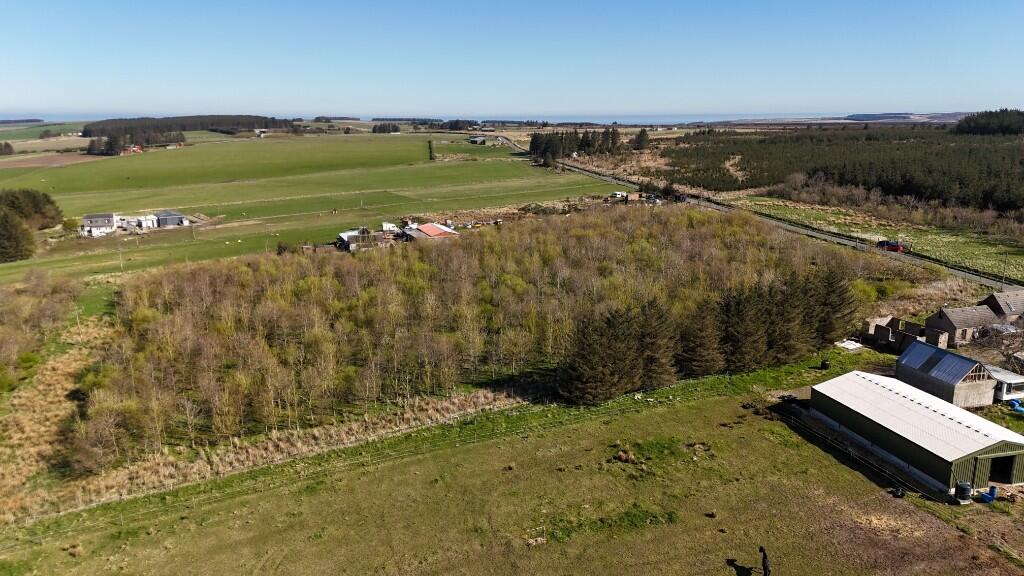 Additional image 18 of Woodland at Broadmuir, Hill of Fisherie, Turriff, AB53 5QL