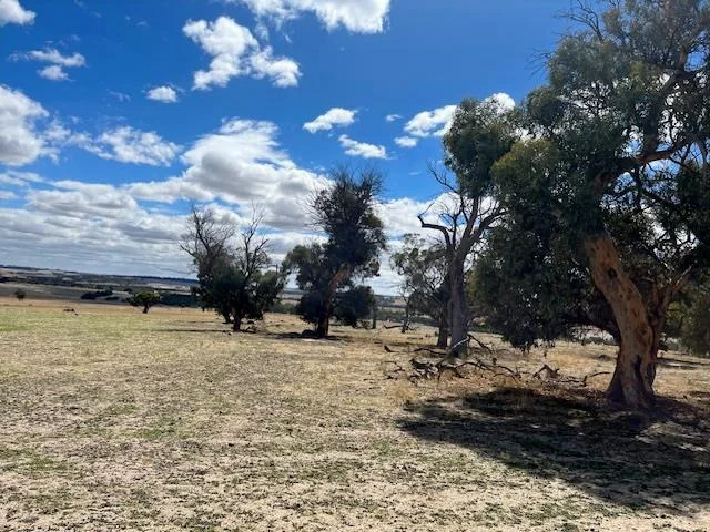 Additional image 6 of 351 Cooke Road, East Popanyinning WA 6309