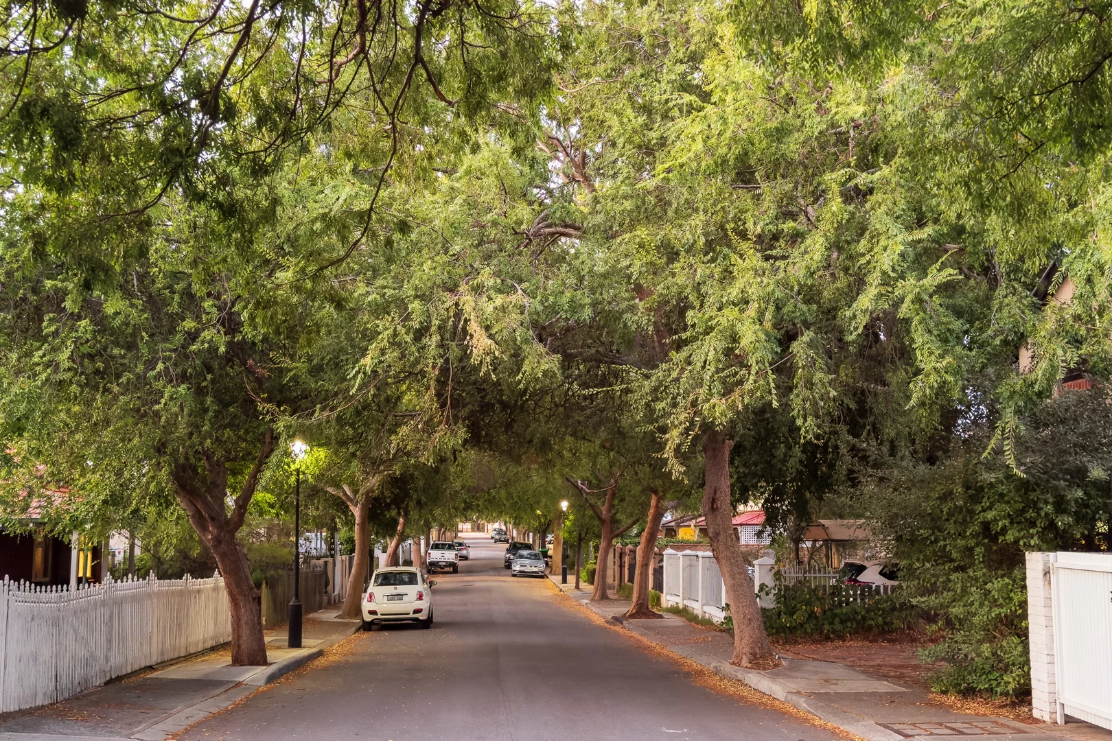 Additional image 2 of 24 William Street, Shenton Park WA 6008
