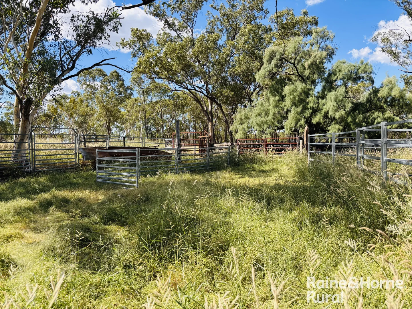 Additional image 21 of 640 Carrington Road, Roma QLD 4455