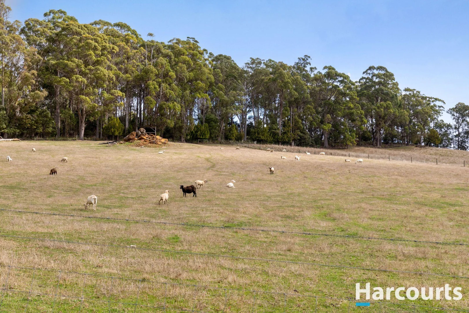 Additional image 36 of 203A Palmers Road, Latrobe TAS 7307
