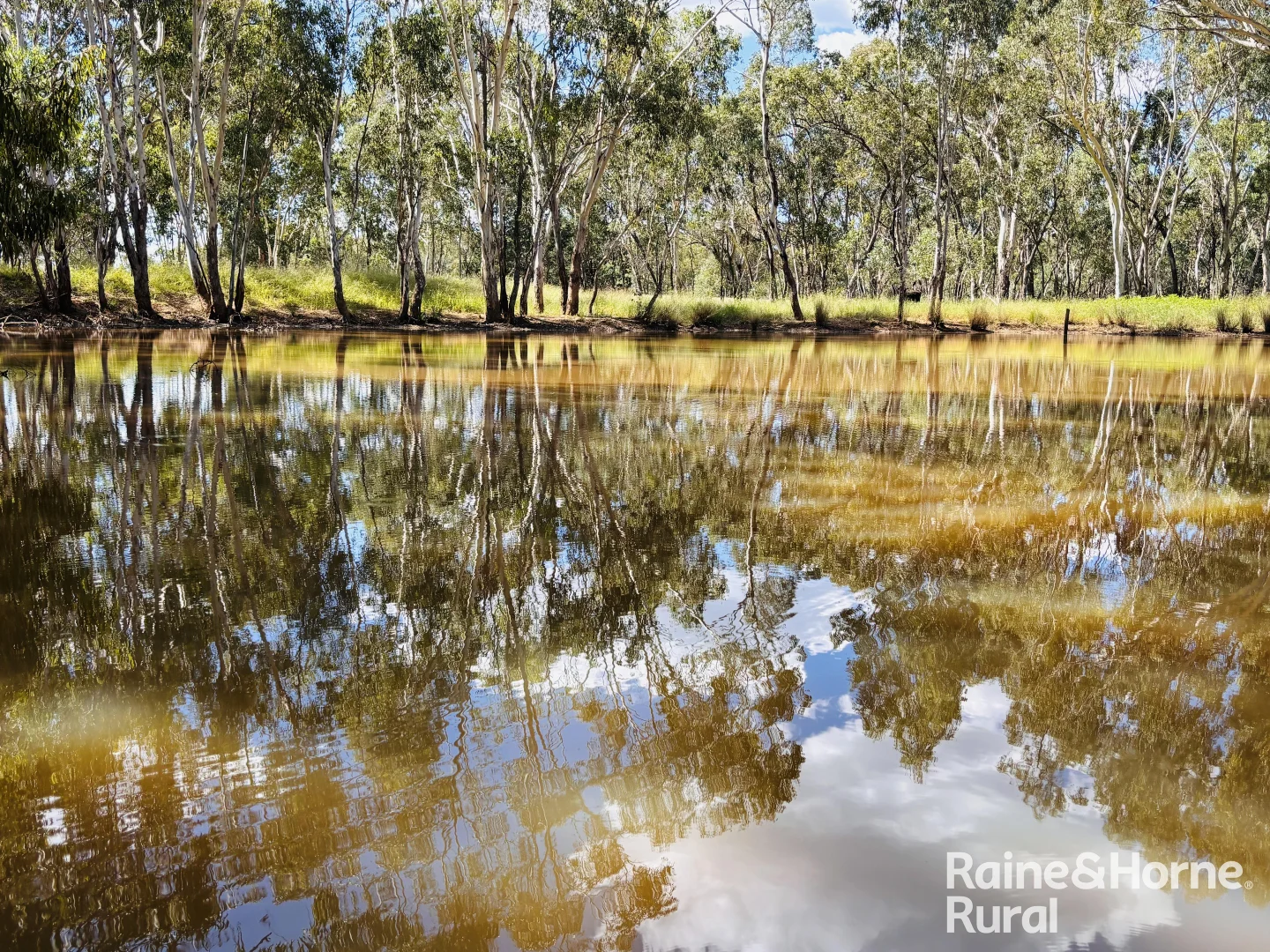 Additional image 16 of 640 Carrington Road, Roma QLD 4455