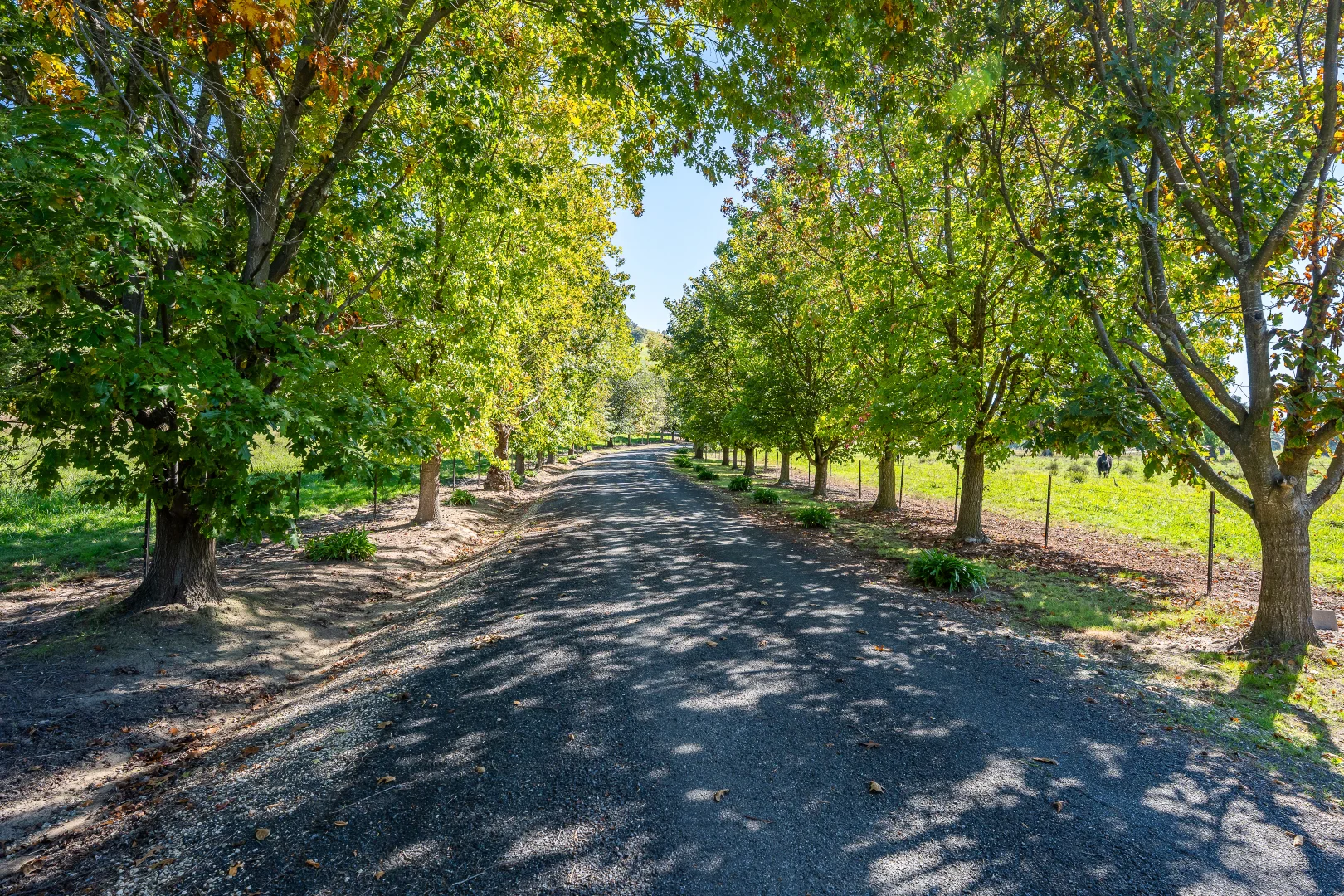 2123 Kiewa Valley Highway, Kergunyah VIC 3691 photo 4