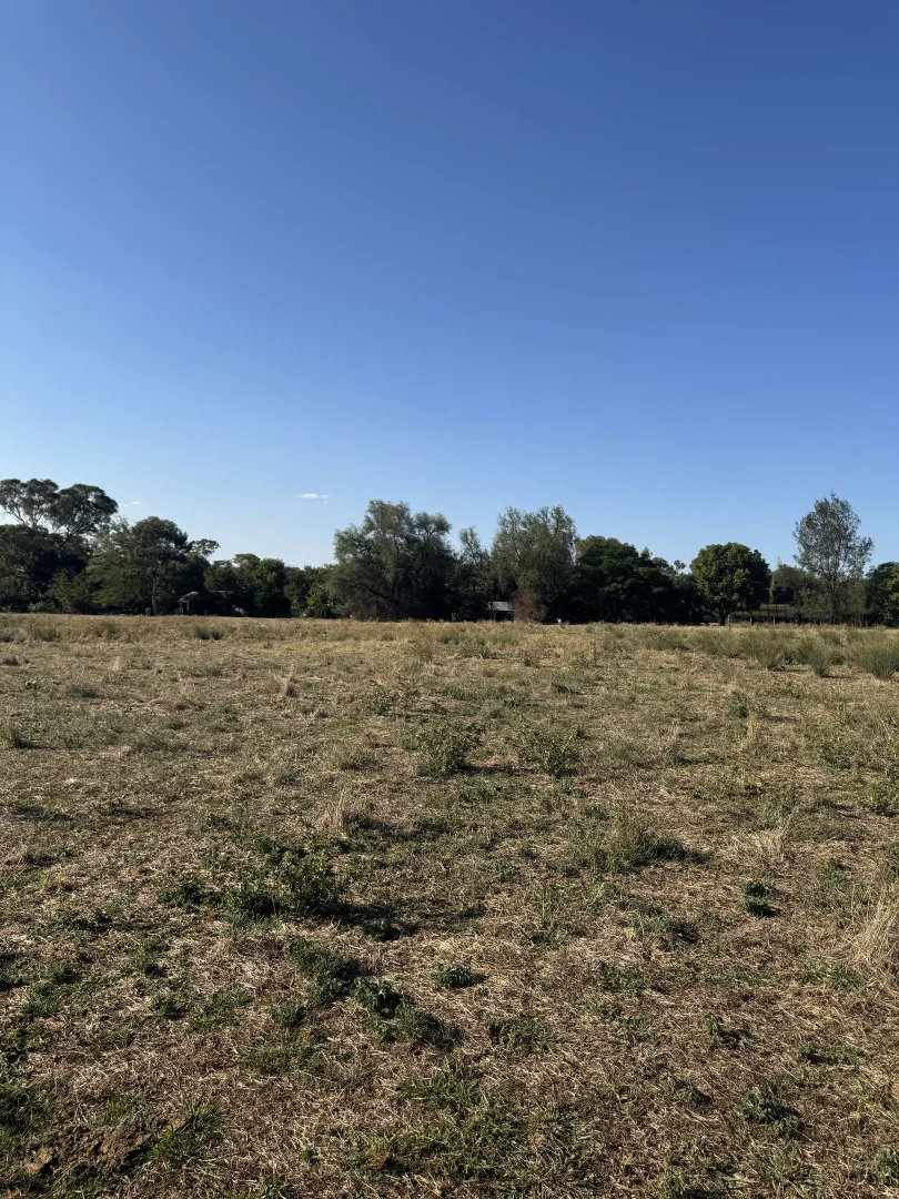 Additional image 8 of 20 Cable Street, Canowindra NSW 2804