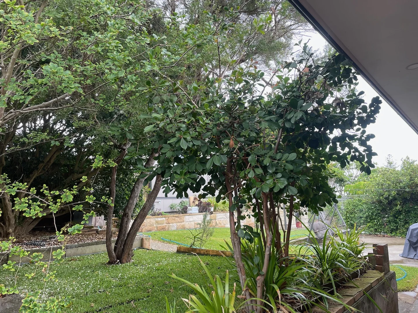 Additional image 15 of 34 Hutchinson Street, Redhead NSW 2290