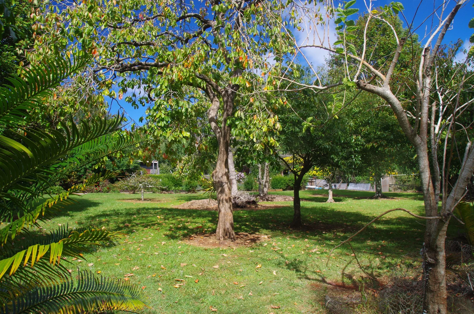 Additional image 8 of 29A Yuulong Road, Tamborine Mountain QLD 4272