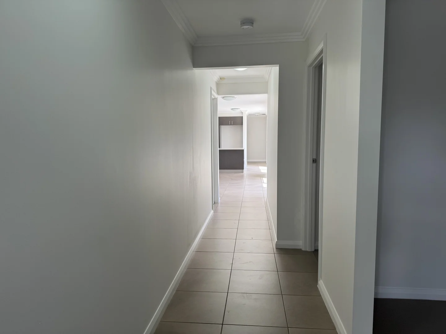 Additional image 4 of 41A Ducros St, Oran Park NSW 2570