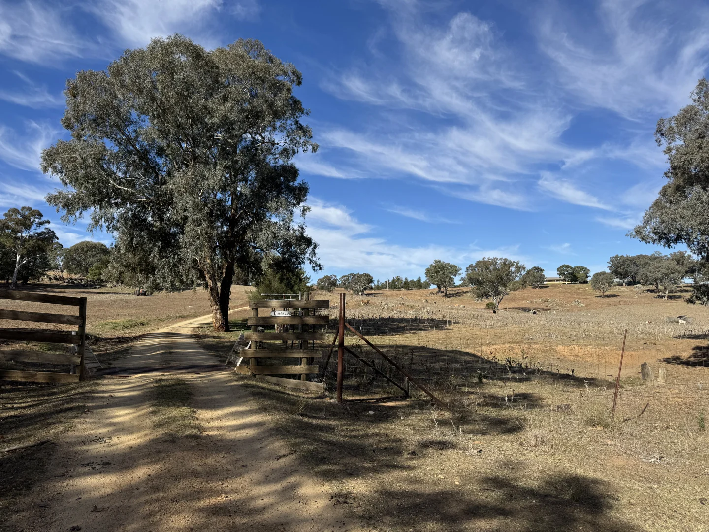 Additional image 14 of 834 Henry Lawson Way, Young NSW 2594