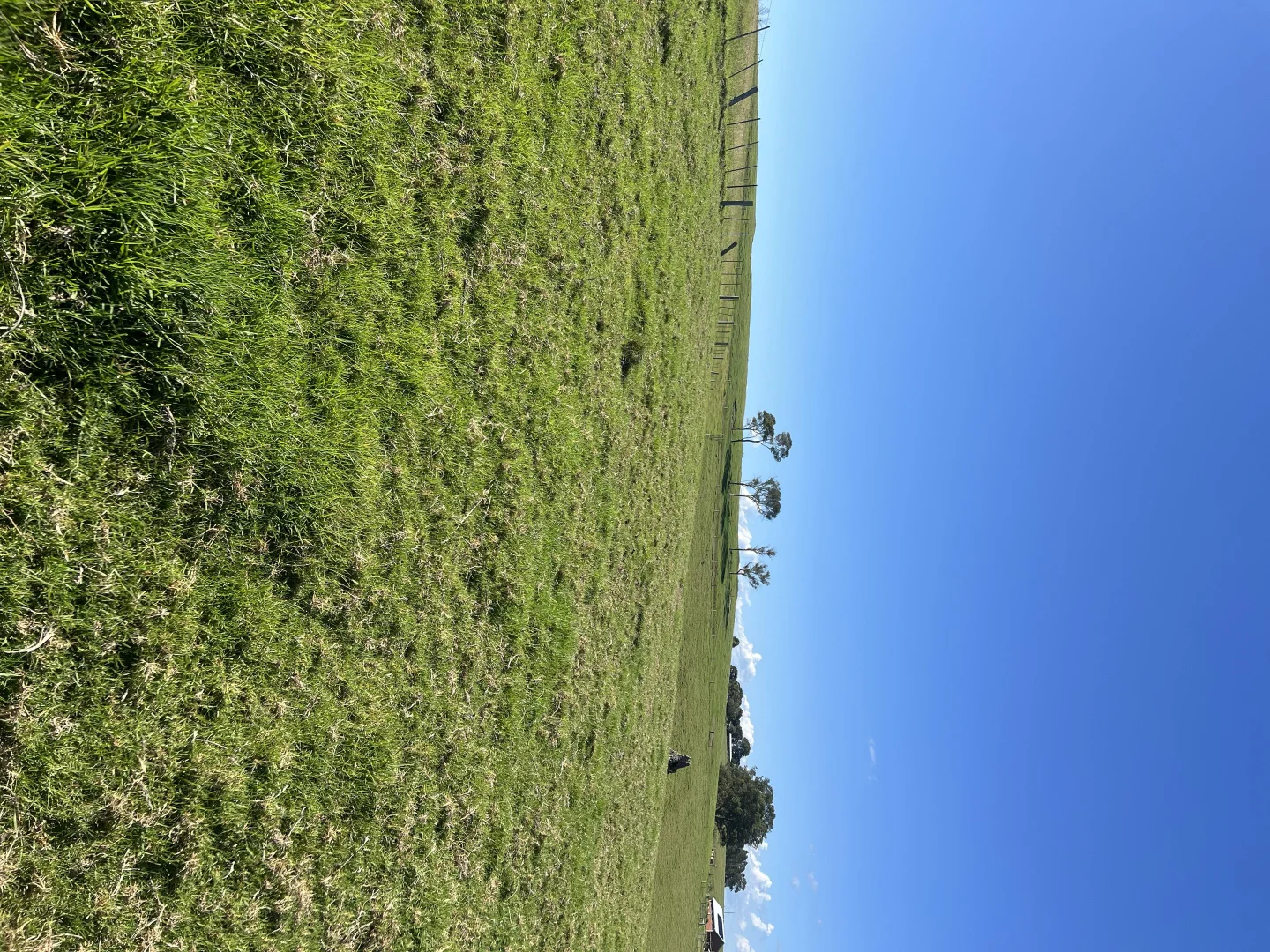 Additional image 4 of 471 Princes Highway, Orbost VIC 3888