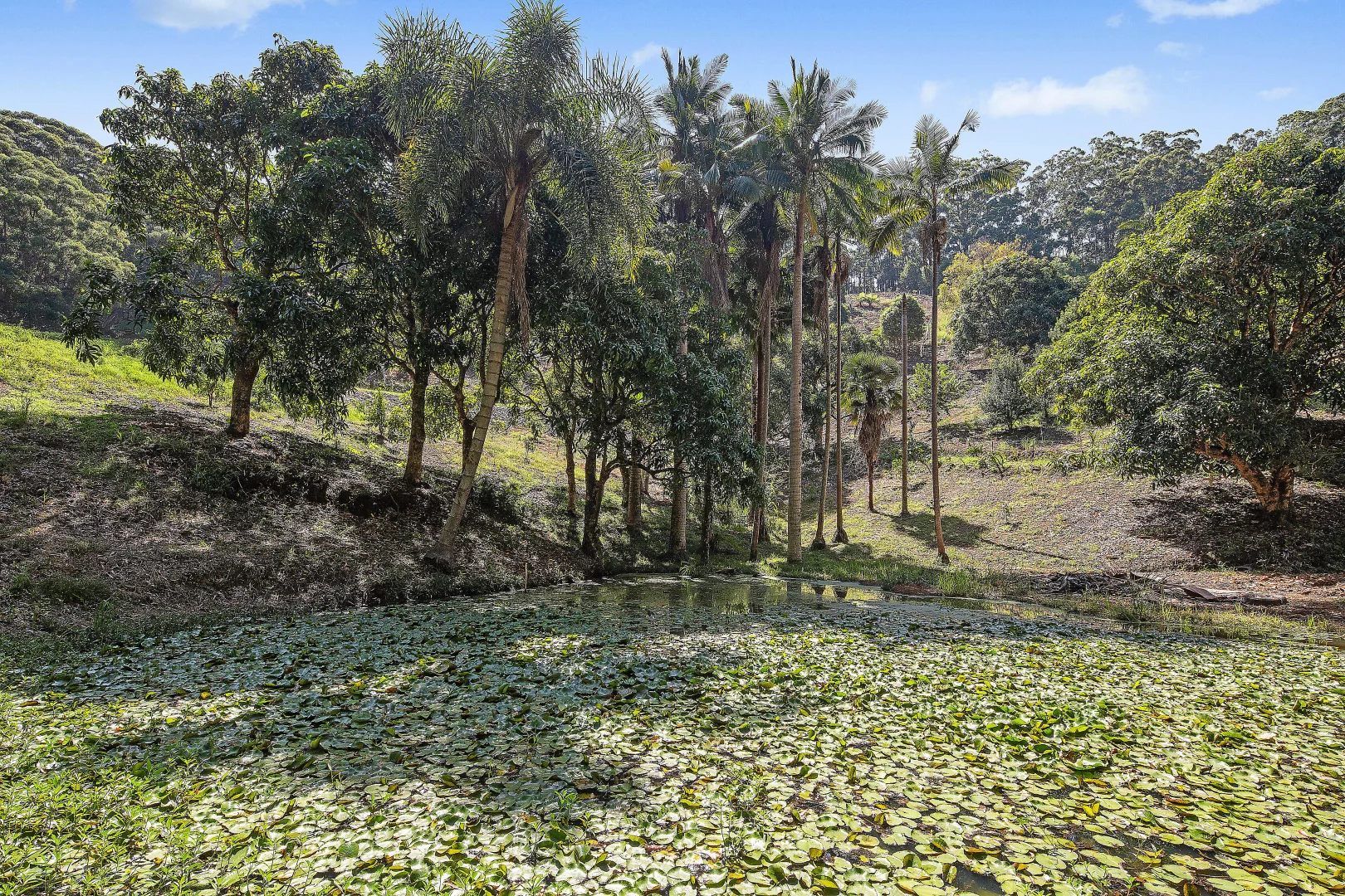 Additional image 5 of 200D Ayrshire Park Drive, Boambee NSW 2450