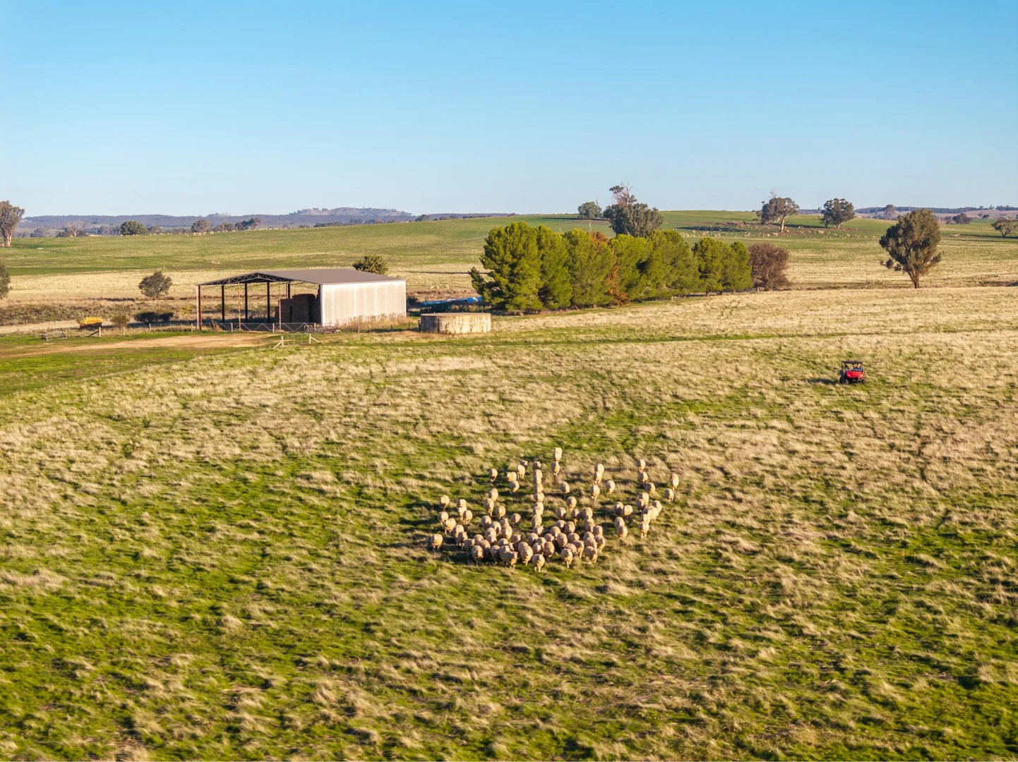 Additional image 11 of 261 Paper Forest Road, Mangoplah NSW 2652