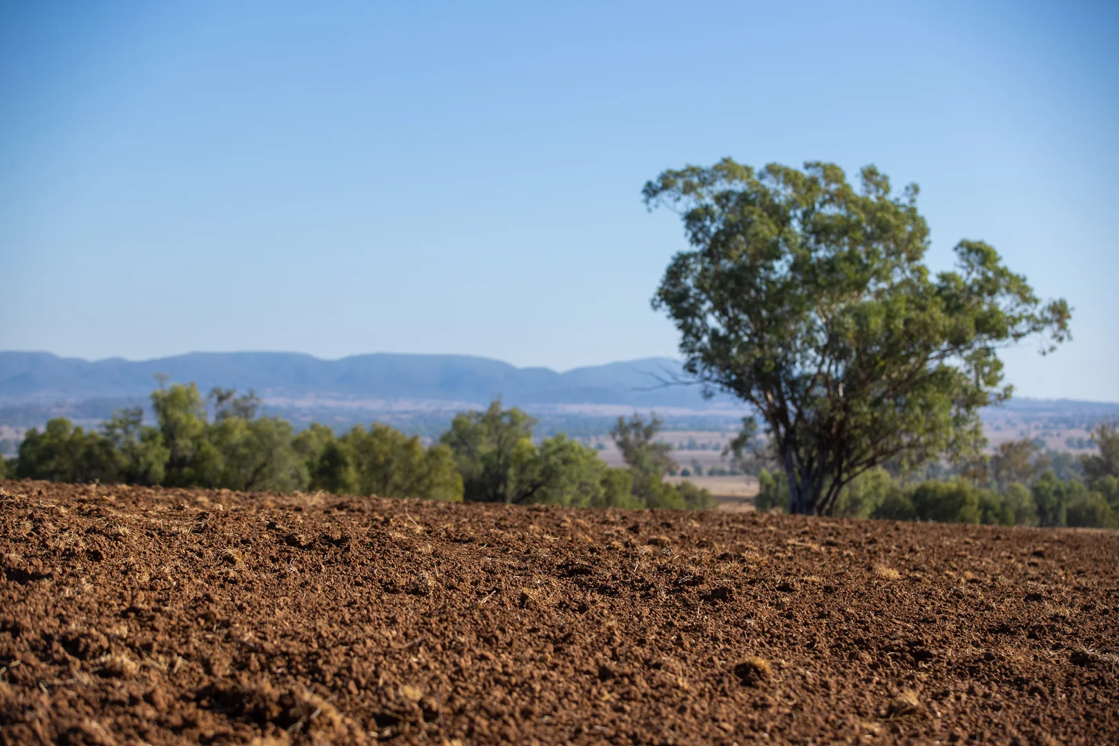 Additional image 21 of 823 Eulourie Road, Bingara NSW 2404