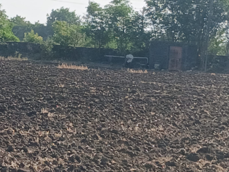 Upleta, Rajkot
