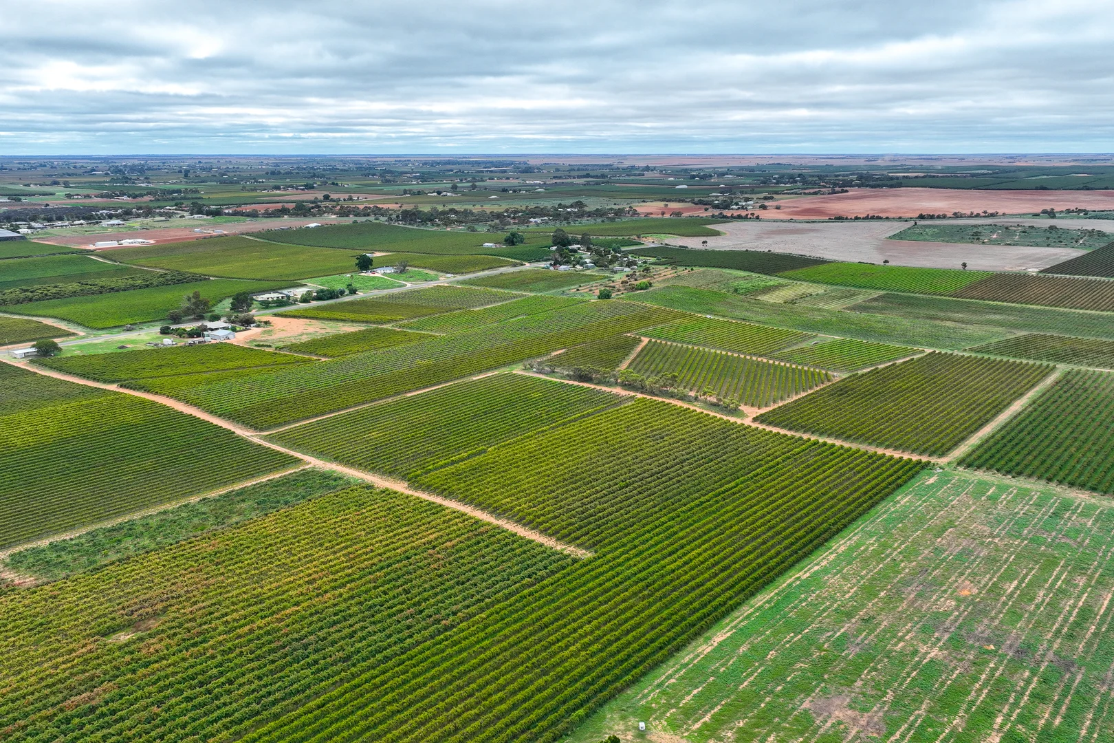 Additional image 4 of Lot 15 Rattey Road, Loxton SA 5333