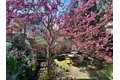 Additional image 2 of 121 Thorndike St, Brookline, MA, 02446