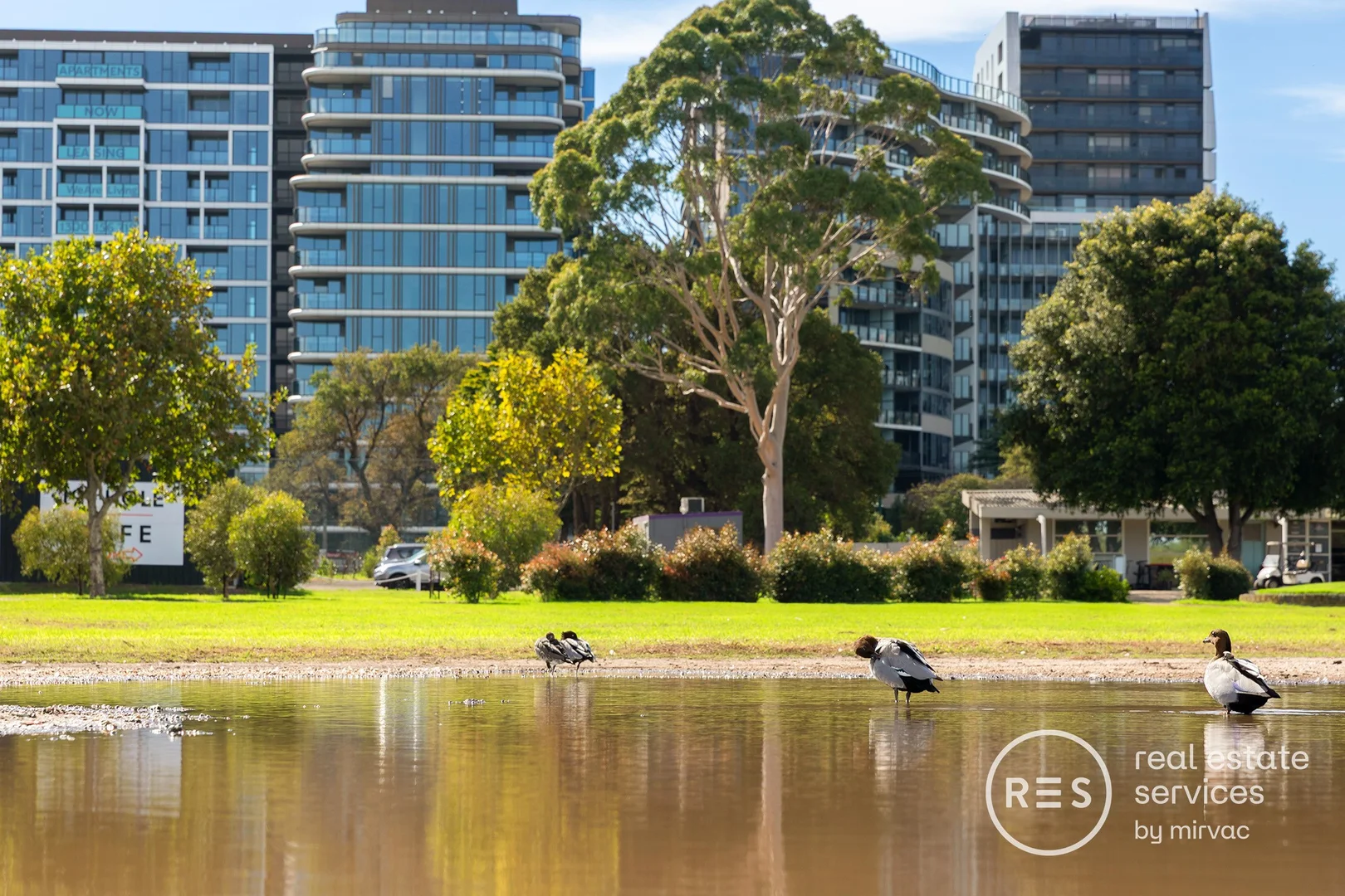 Additional image 29 of 1001/31 Queens Lane, Melbourne VIC 3004