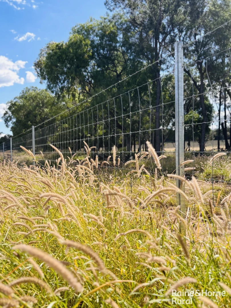 Additional image 22 of 640 Carrington Road, Roma QLD 4455