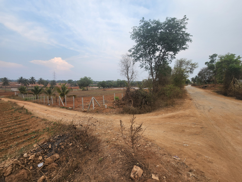 Jayapura, Mysore