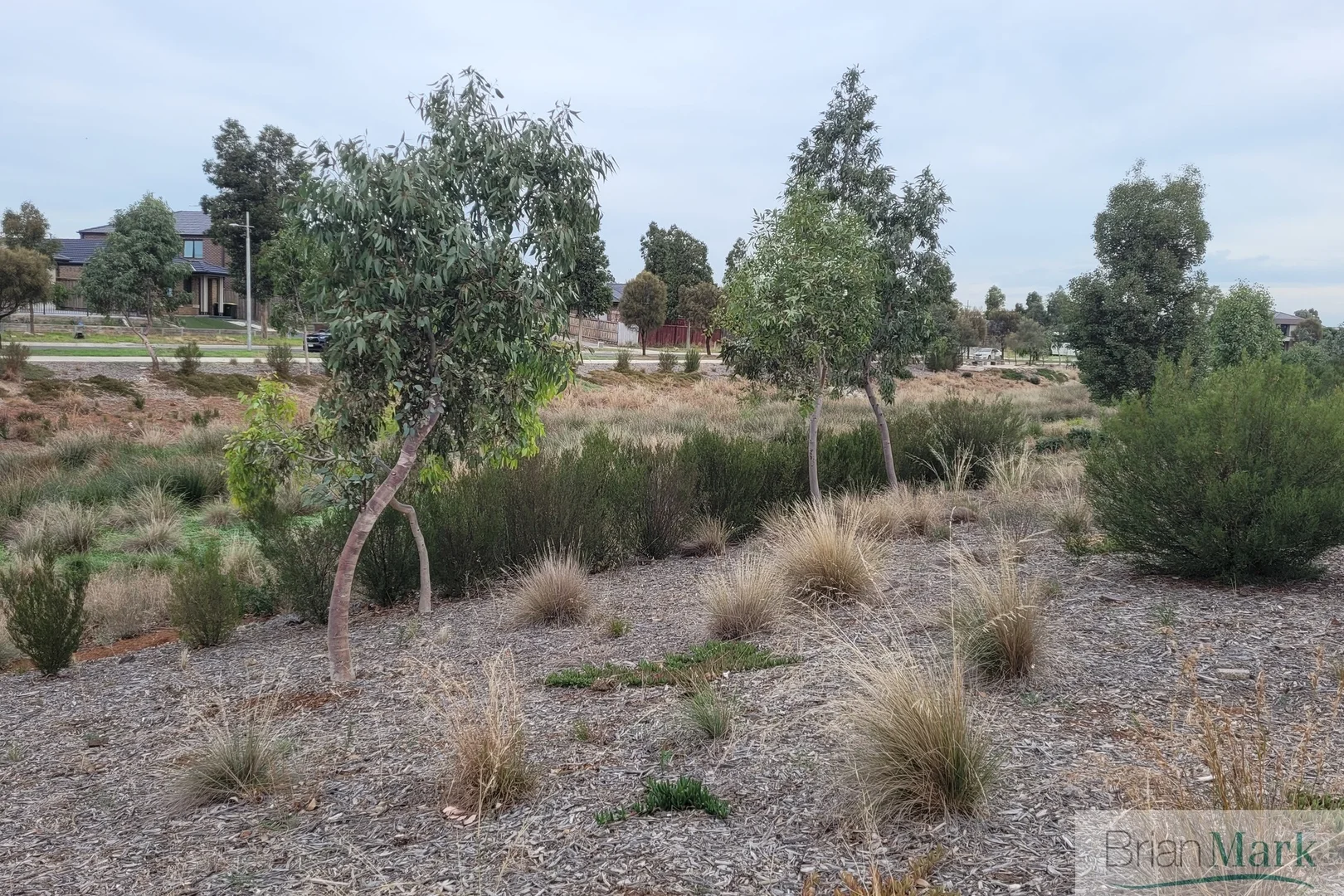 Additional image 6 of 73 Laflin Avenue, Tarneit VIC 3029