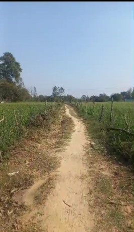 Sultanpur Road, Lucknow photo 2