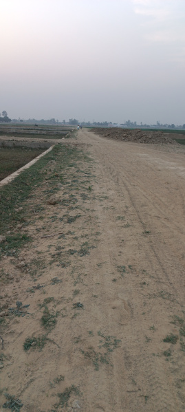 Bargadwa, Gorakhpur photo 3