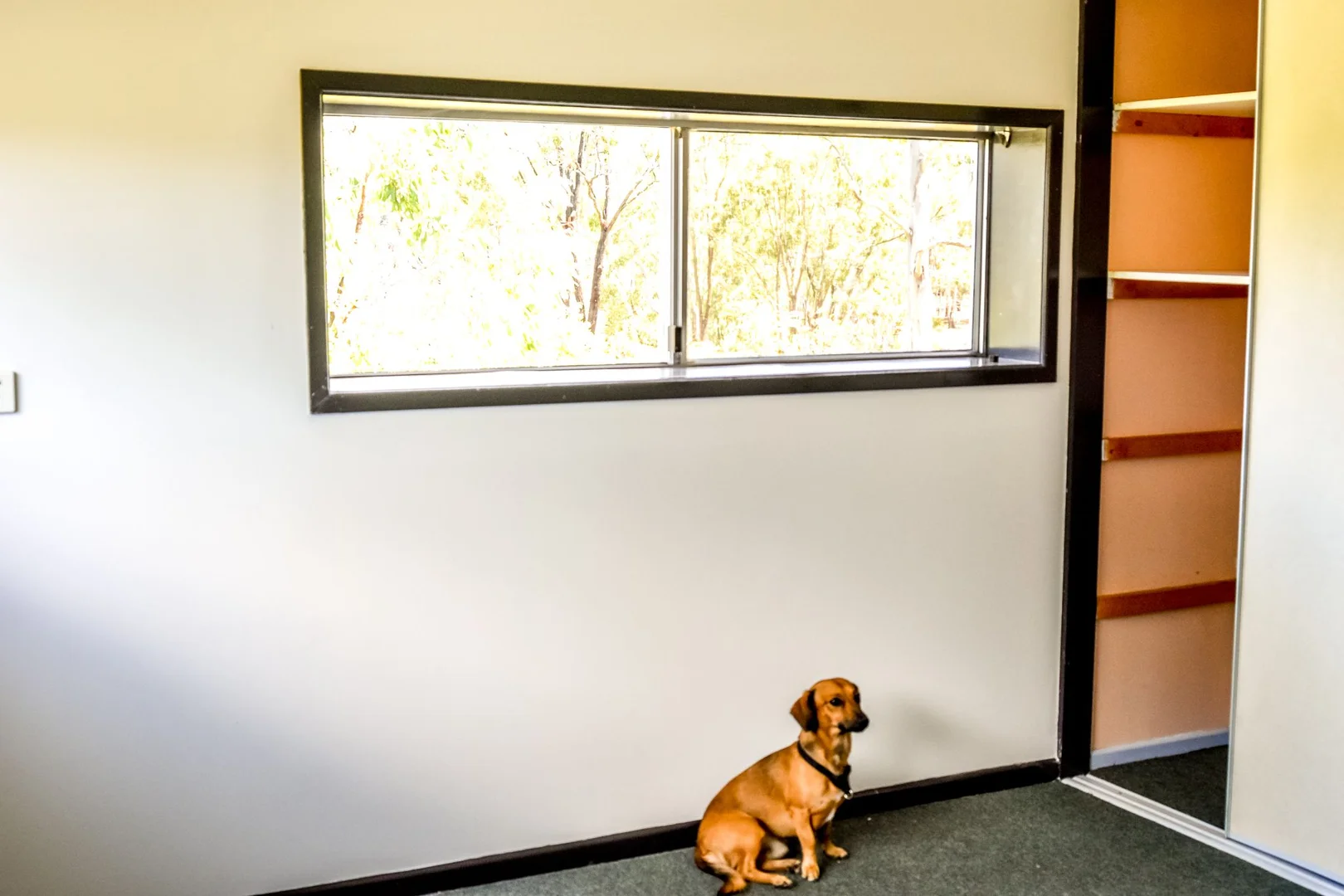 Additional image 30 of 89 Maidenwell Upper Yarraman Road, Maidenwell QLD 4615