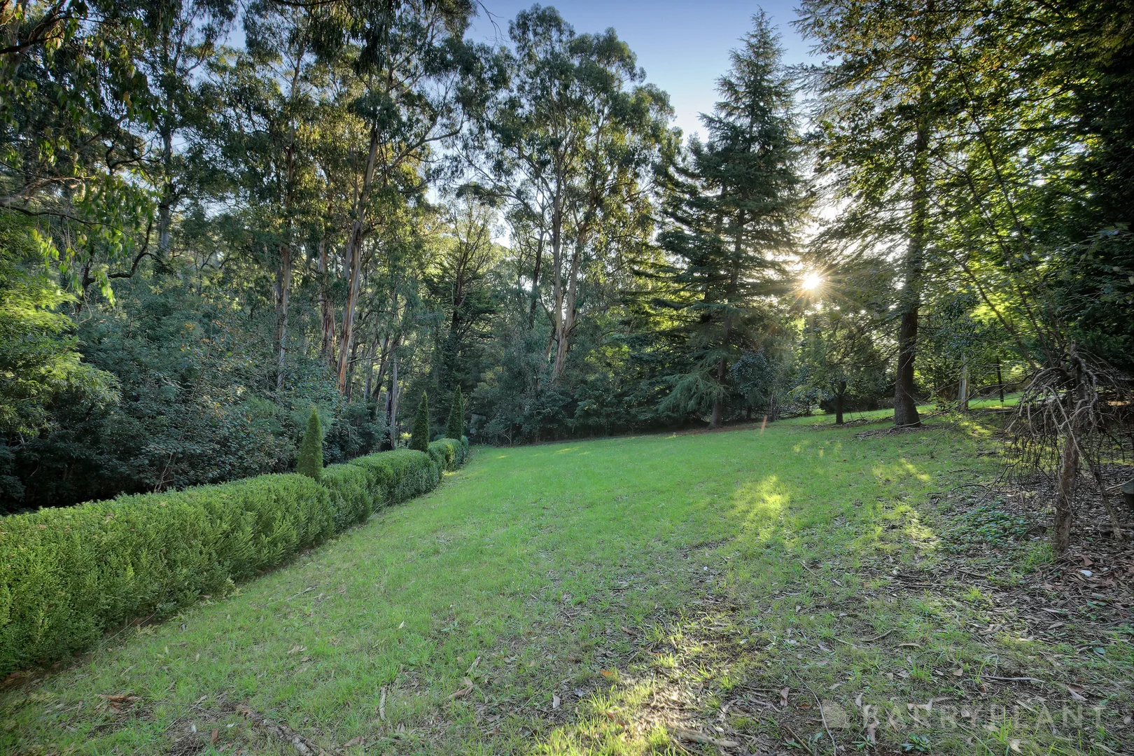 Additional image 16 of 73 Emerald Creek Road, Monbulk VIC 3793