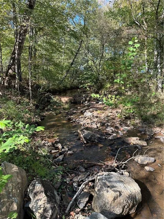 Additional image 32 of Lee Rd 334, Salem, AL 36874