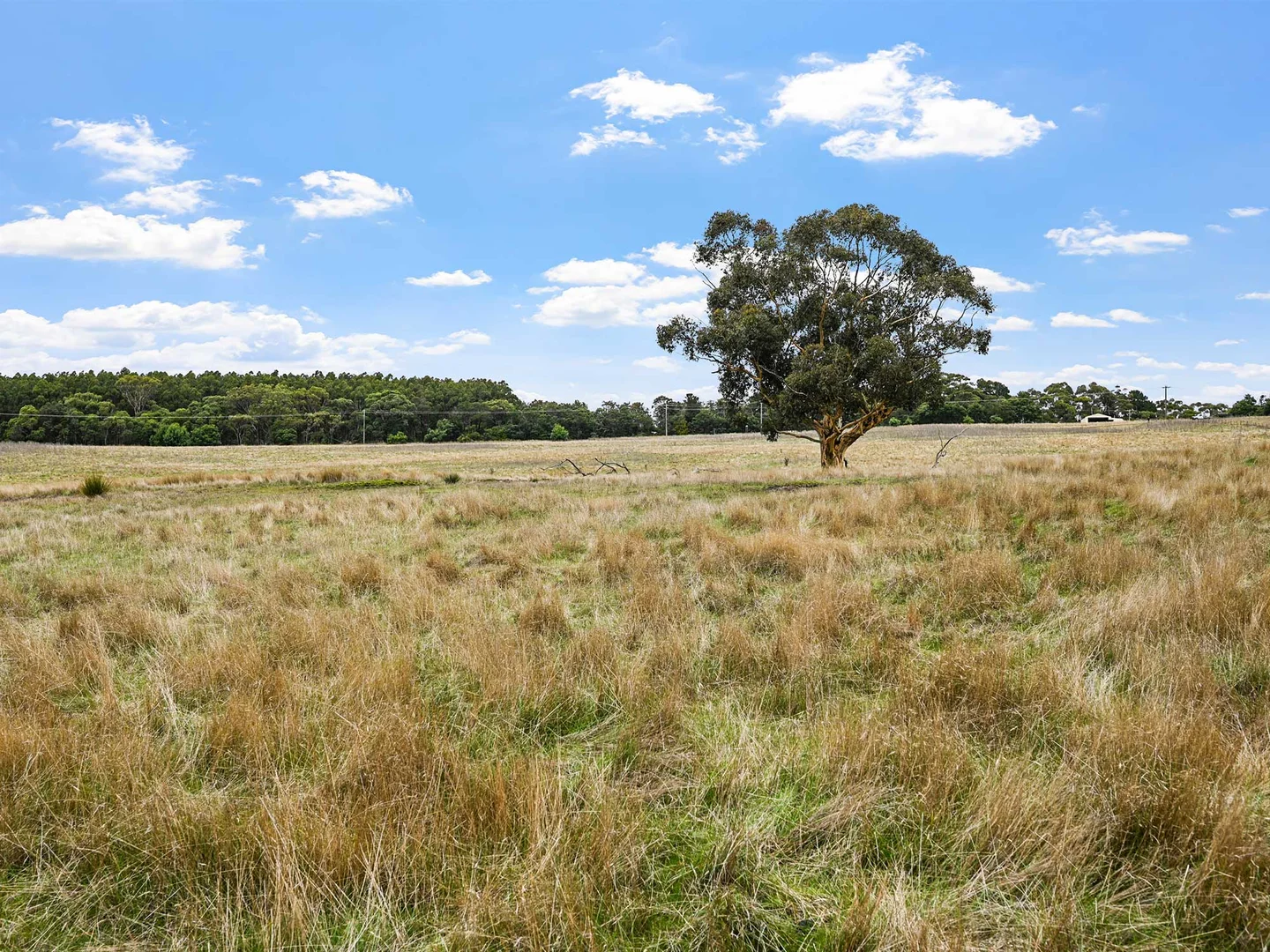 Additional image 4 of 4231 Dartmoor-Hamilton Road, Grassdale VIC 3302