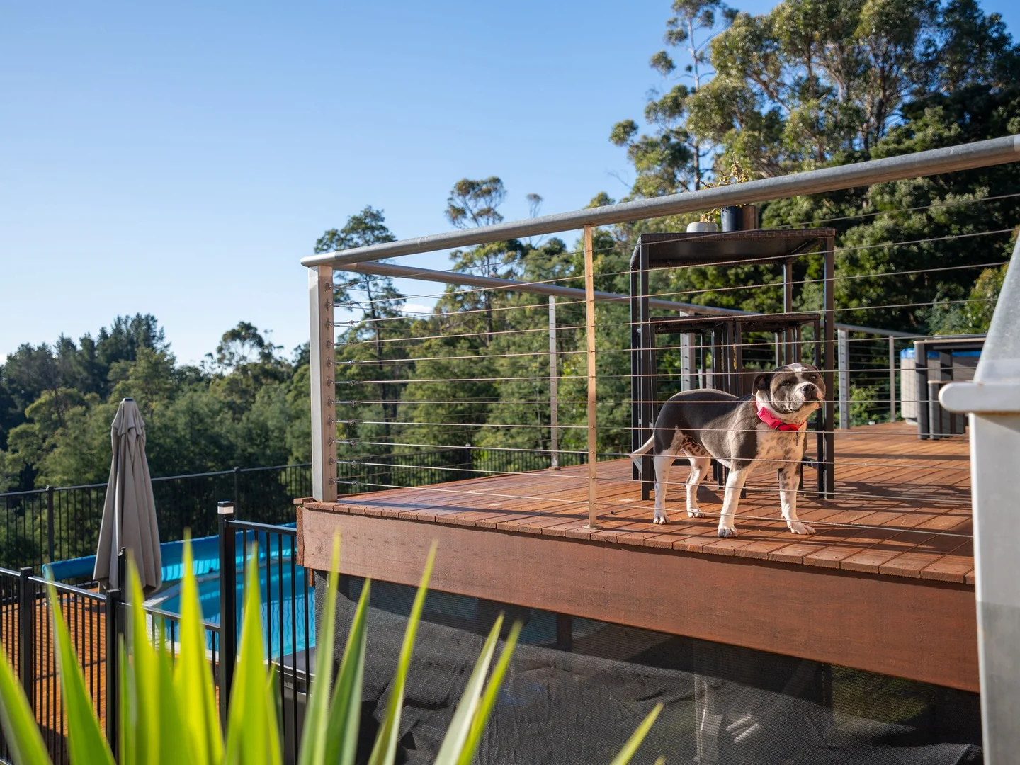 Additional image 24 of 66 Wattle Valley Road, Acacia Hills TAS 7306