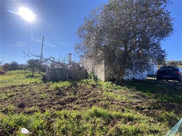 Additional image 5 of Martina Franca (Taranto)