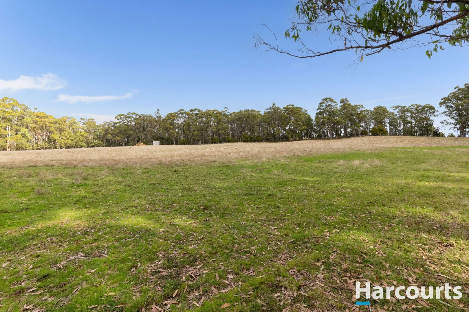 Additional image 34 of 203A Palmers Road, Latrobe TAS 7307