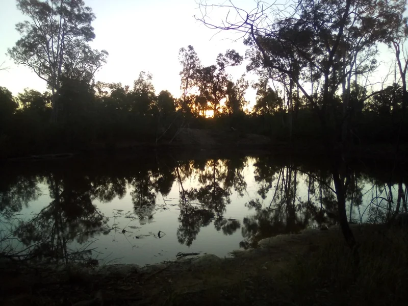 Additional image 11 of Lot 71 Males Drive, Tara QLD 4421