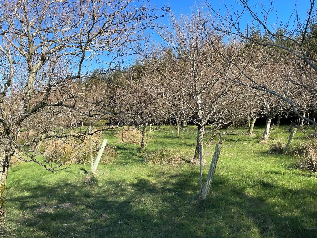 Additional image 16 of Lot 1 Woodland at Broadmuir, Hill of Fisherie, Turriff, AB53 5QL